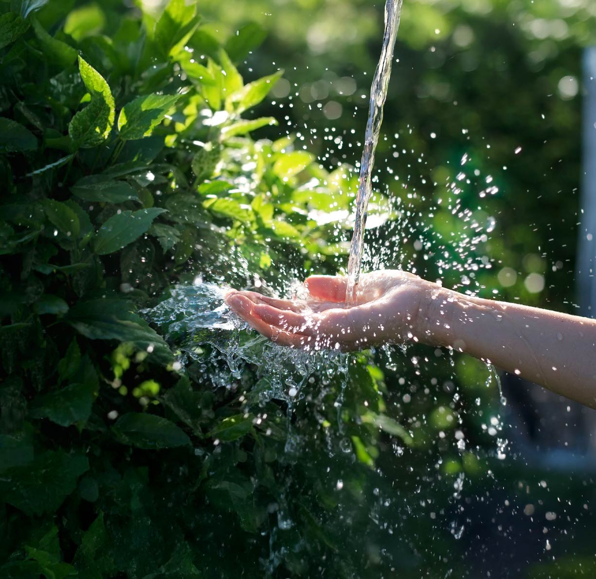 osoley-imagen-nosotros